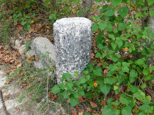 avu1