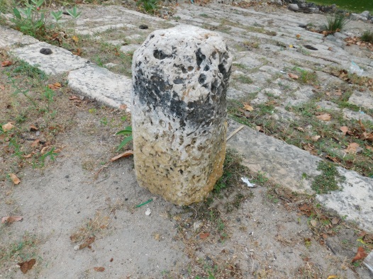 avu11