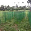 Road_Side_Tree_Planting