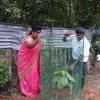 Road_Side_Tree_Planting