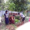 Road_Side_Tree_Planting