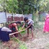 Road_Side_Tree_Planting