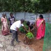 Road_Side_Tree_Planting