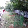 Road_Side_Tree_Planting