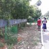 Road_Side_Tree_Planting