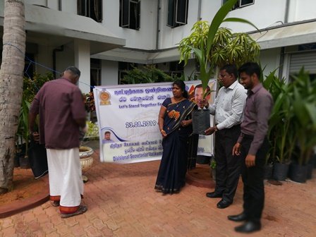 Supply_Coconut_Seedling
